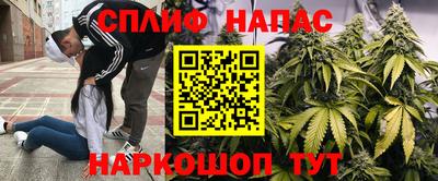 винт Аргун