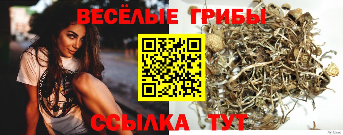 Воткинск  Галлюциногенные грибы GOLDEN TEACHER  Вход с VPN 